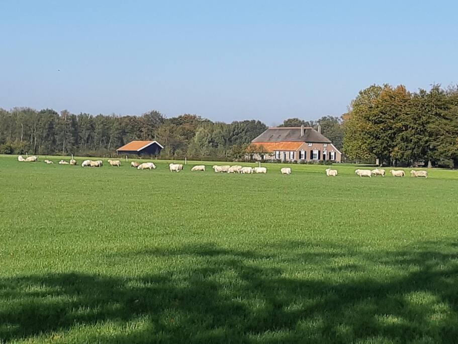 B&B Joostink In Vorden Zewnętrze zdjęcie